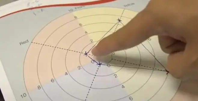 Jigsaw Discovery Behavioural Map showcasing behavioural preferences across four colours.