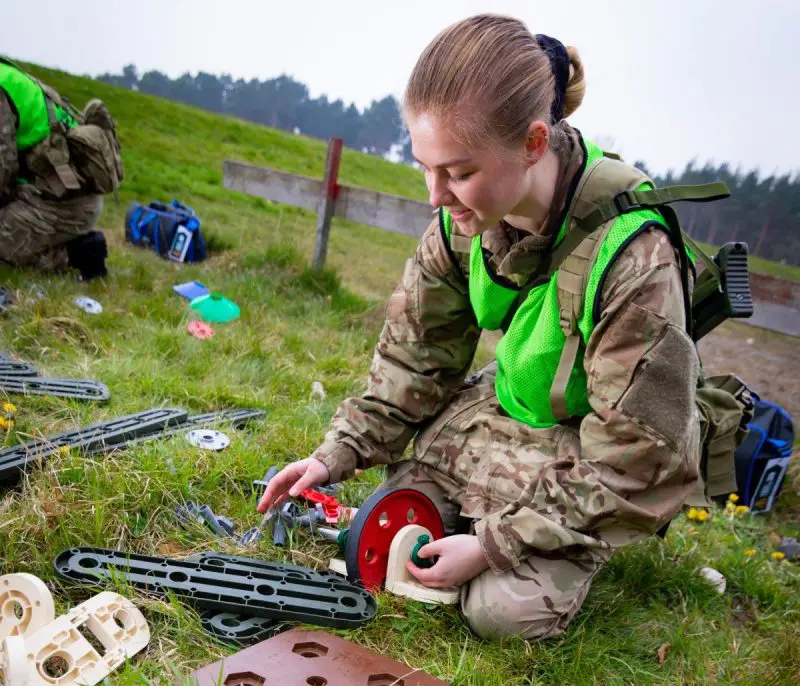 ACFA_stem-800x686jpg